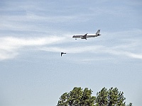 010  Den Rhein kann man sich auch von oben ansehen - auf dem Weg zum Flughafen.