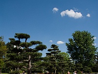 005 : Düsseldorf, japanischer Garten