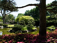 006 : Düsseldorf, japanischer Garten