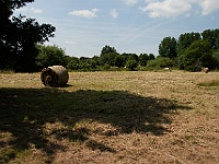 21 : 2008, Heuballen, Hombroich, Insel, Juni