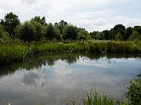 Joachim Fromm : Hombroich, Insel, Insel Hombroich