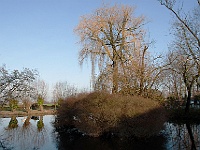 01  Auch im Winter ist die Insel einen Spaziergang wert.