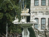 330  Der Schwanen-Brunnen.