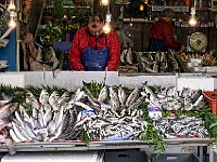 L1000664 Fisch am Basar