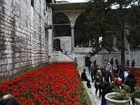 017 DSC2272 Topkapi Lale Tulpenmonat