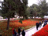 040 DSC2329 Topkapi