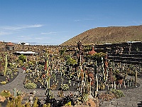 074-Jardin de Cactus  Man sollte es nicht glauben: Eine ehemalige Müllkippe.