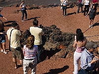 120-Nationalpark Timanfaya  In 10 cm Tiefe herrschen 150 Grad - trockenes Gras brennt sofort.